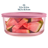 Pink container with watermelon slices on a white background