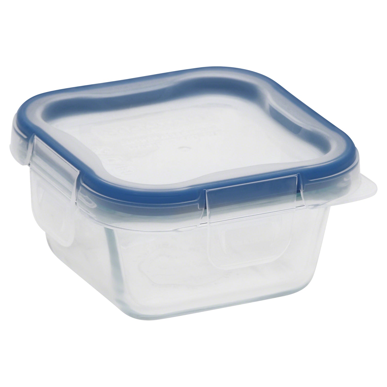 Clear plastic container with blue lid on a white background